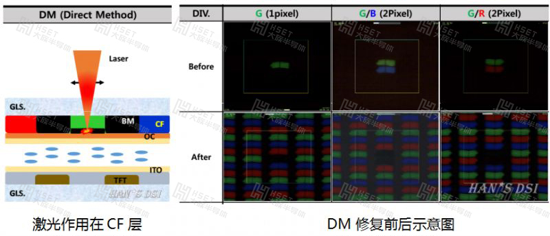 DM修復.jpg