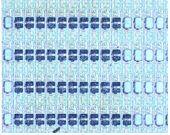 2023080416377475.png